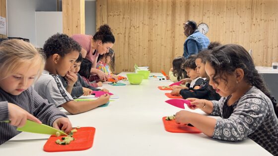 Vacature vakdocent Gezond