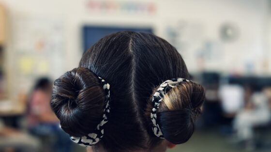 De kunst van het overtuigen op het Rotterdams basisscholendebat