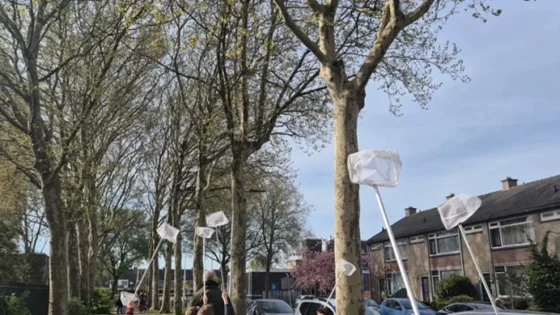 Wat de beestjes nodig hebben